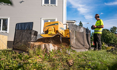 EKBLOMS-ÅKERI- Stubbfräsning i trädgård